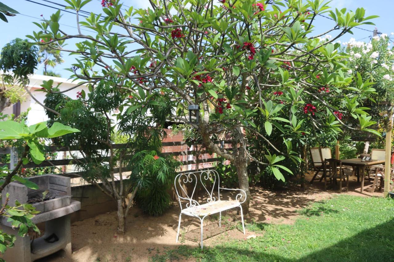 Le Colibri Et Le Frangipanier Appartement La Trinité Buitenkant foto