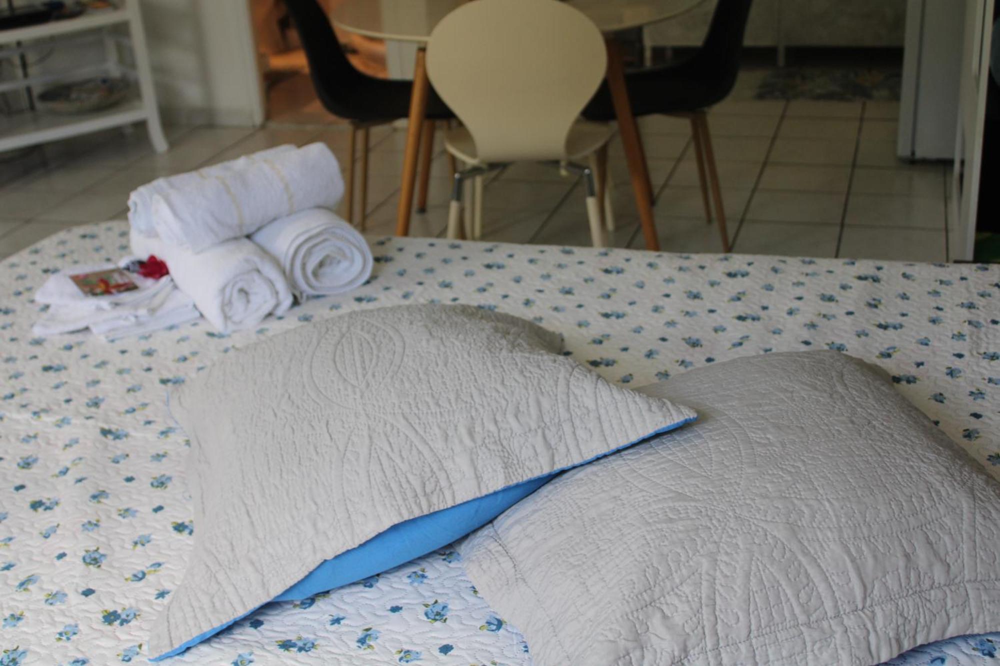 Le Colibri Et Le Frangipanier Appartement La Trinité Buitenkant foto