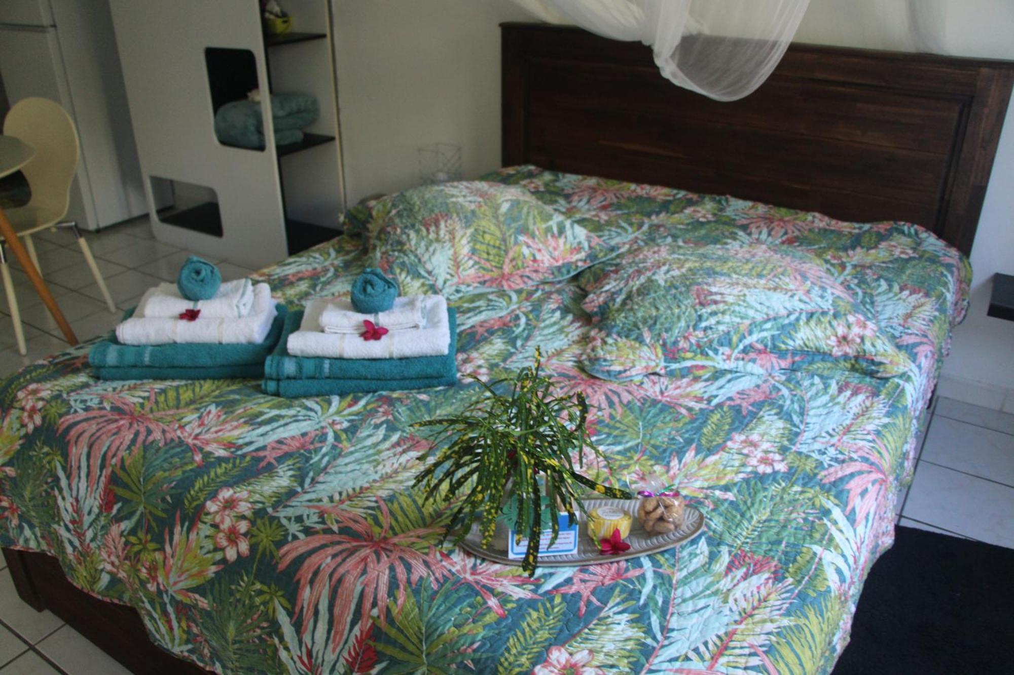 Le Colibri Et Le Frangipanier Appartement La Trinité Buitenkant foto